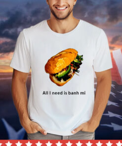 All I Need Is Banh Mi shirt