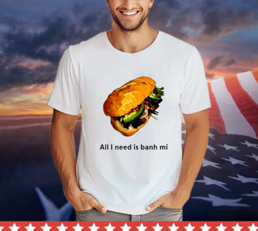 All I Need Is Banh Mi shirt