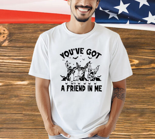Donkey you’ve got a friend in me T-shirt