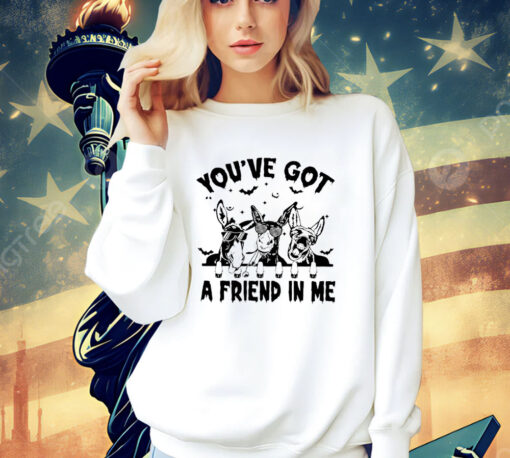 Donkey you’ve got a friend in me T-shirt