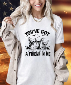 Donkey you’ve got a friend in me T-shirt