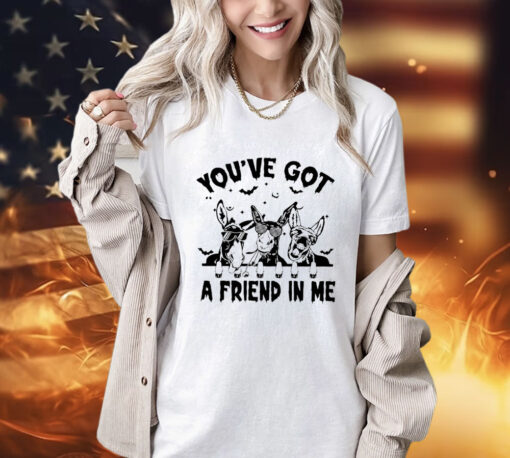 Donkey you’ve got a friend in me T-shirt