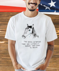 Stop doing ketamine there are literally horses that need to relax shirt