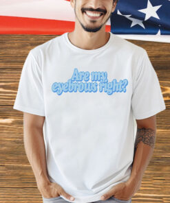 Are my eyebrows right 2024 T-Shirt