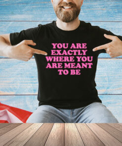 You are exactly where you are meant to be Shirt