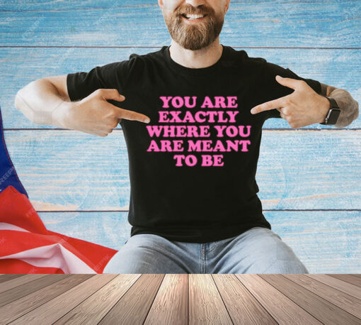 You are exactly where you are meant to be Shirt