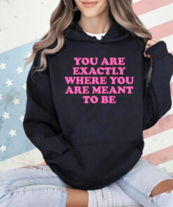 You are exactly where you are meant to be Shirt