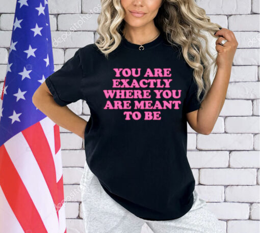 You are exactly where you are meant to be Shirt