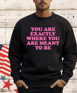 You are exactly where you are meant to be Shirt