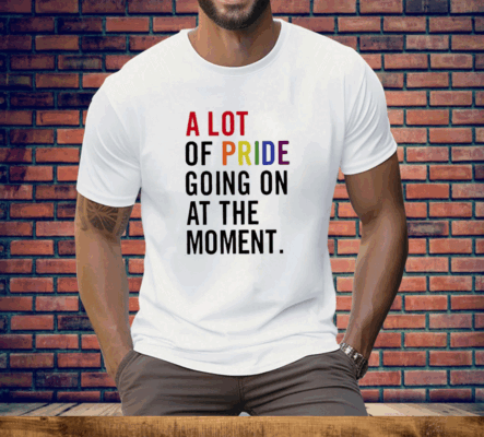 A Lot Of Pride Going On At The Moment Tee Shirt