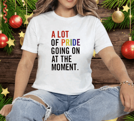 A Lot Of Pride Going On At The Moment Tee Shirt