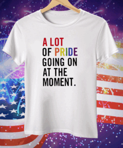 A Lot Of Pride Going On At The Moment Tee Shirt