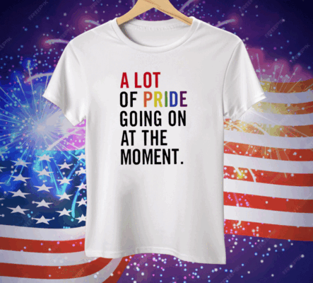 A Lot Of Pride Going On At The Moment Tee Shirt