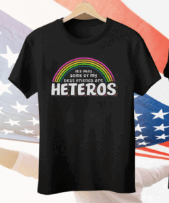 It’s Ok Some Of My Best Friends Are Heteros Tee Shirt