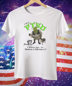 I Have PTSD Praying To Shrek And Donkey Tee Shirt