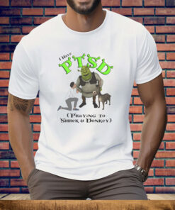 I Have PTSD Praying To Shrek And Donkey Tee Shirt