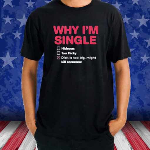 Why I’m Single Hideous Too Picky Dick Is Too Big Might Kill Someone T-Shirt