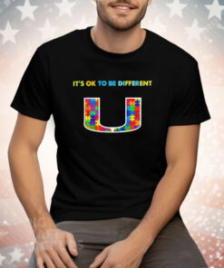 Miami Hurricanes it’s ok to be different autism 2024 T-Shirt