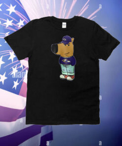 Baltimore Ravens x Chill Guy Limited Edition For Fans Purple T-Shirt