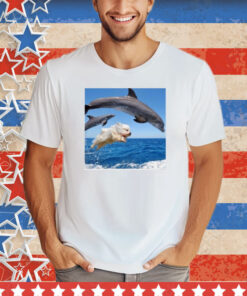 Sebastian Vettel Wearing Dog Jump With Dolphin Tee Shirt