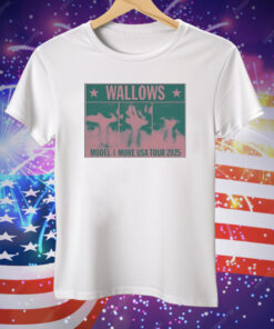 Wallows Model And More USA Tour 2025 Colorblock Faces Tee Shirt