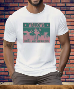 Wallows Model And More USA Tour 2025 Colorblock Faces Tee Shirt